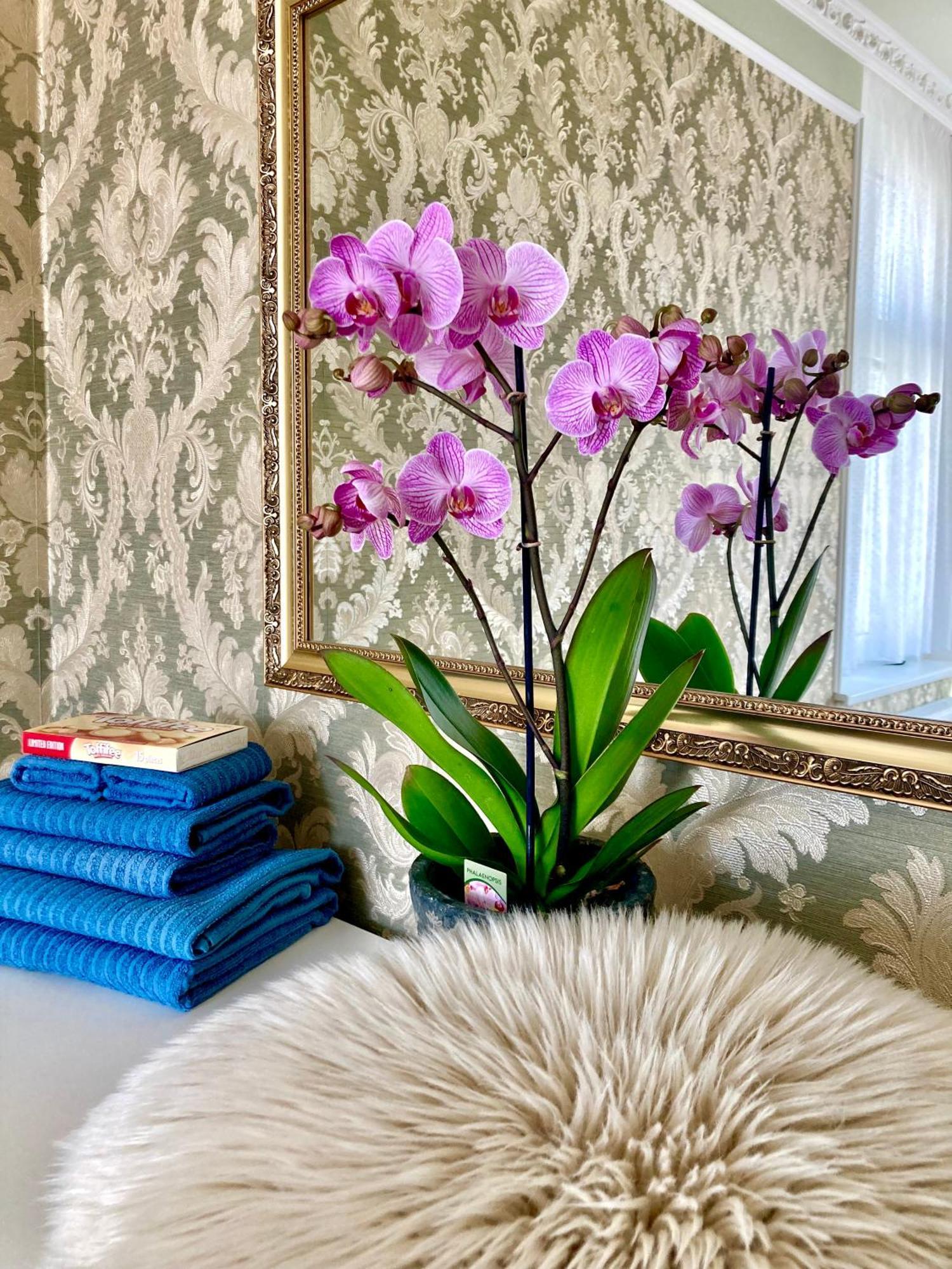 Romanceart Apartments Karlovy Vary Ngoại thất bức ảnh